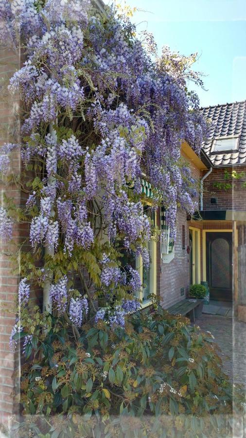 B&B De Vlinder Харденберг Экстерьер фото